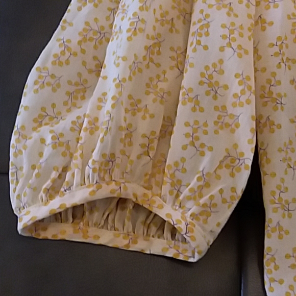 Anthroplogie Meadow Rue blouse, Sz 2, EUC - Picture 4 of 8